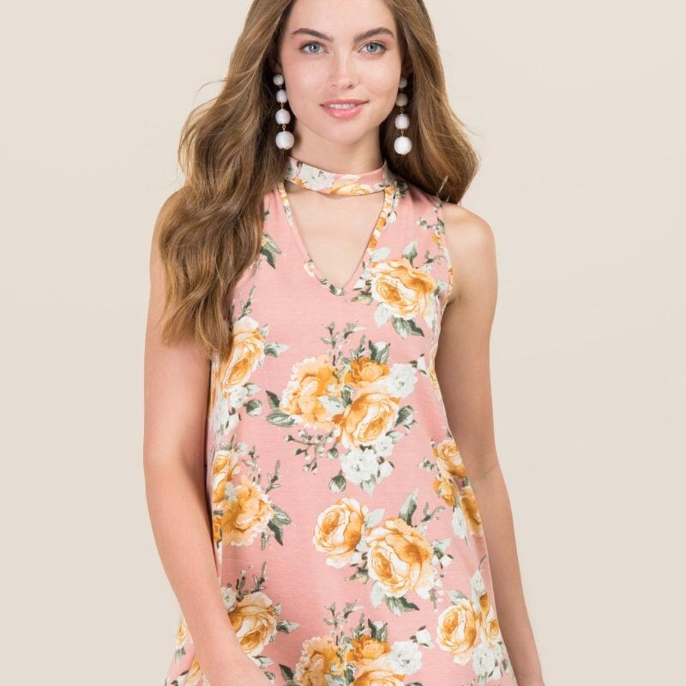Francesca's Hattie Gigi Floral Shift Dress Rose XS